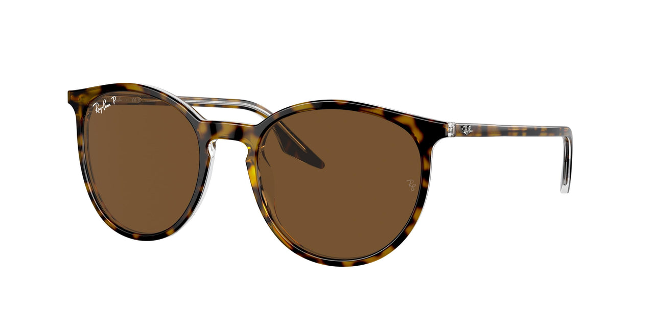 Ray-Ban 2204F Sunglasses