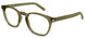 006 - Brown - Transparent