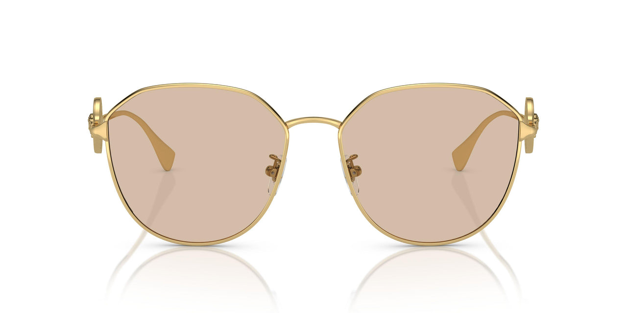 100293 - Gold - Light Brown