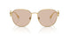 100293 - Gold - Light Brown