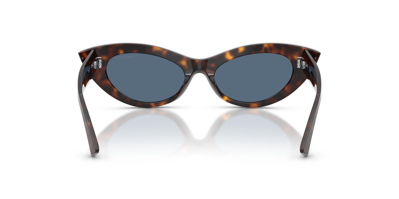 500280 - Tortoise - Dark Blue