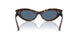 500280 - Tortoise - Dark Blue