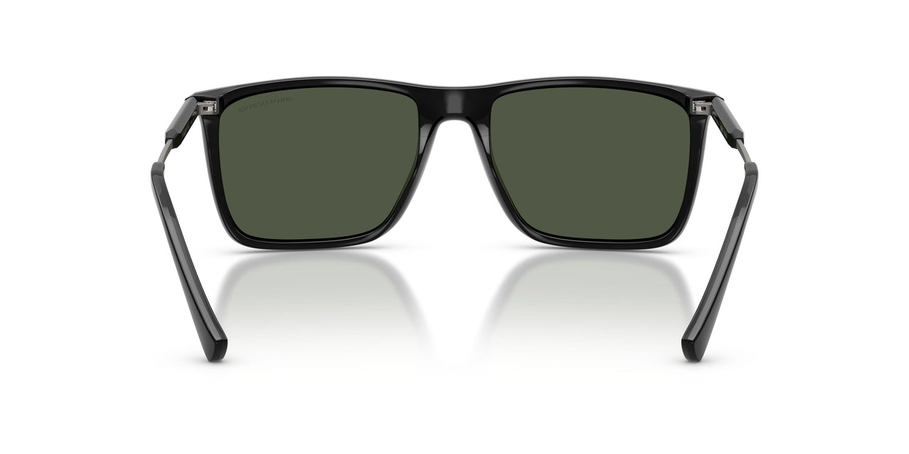 81582J - Black - Dark Green Polar