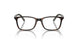 3863 - Tortoise - Clear