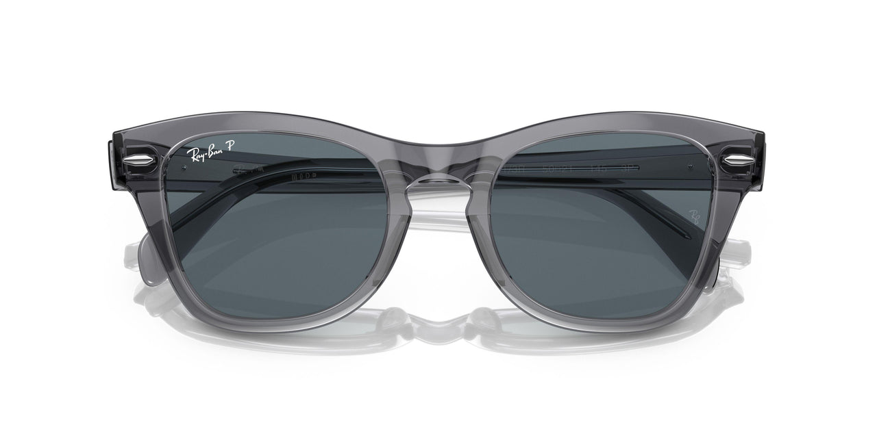 66413R - Grey - Dark Blue Polar