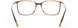 6131 - brown