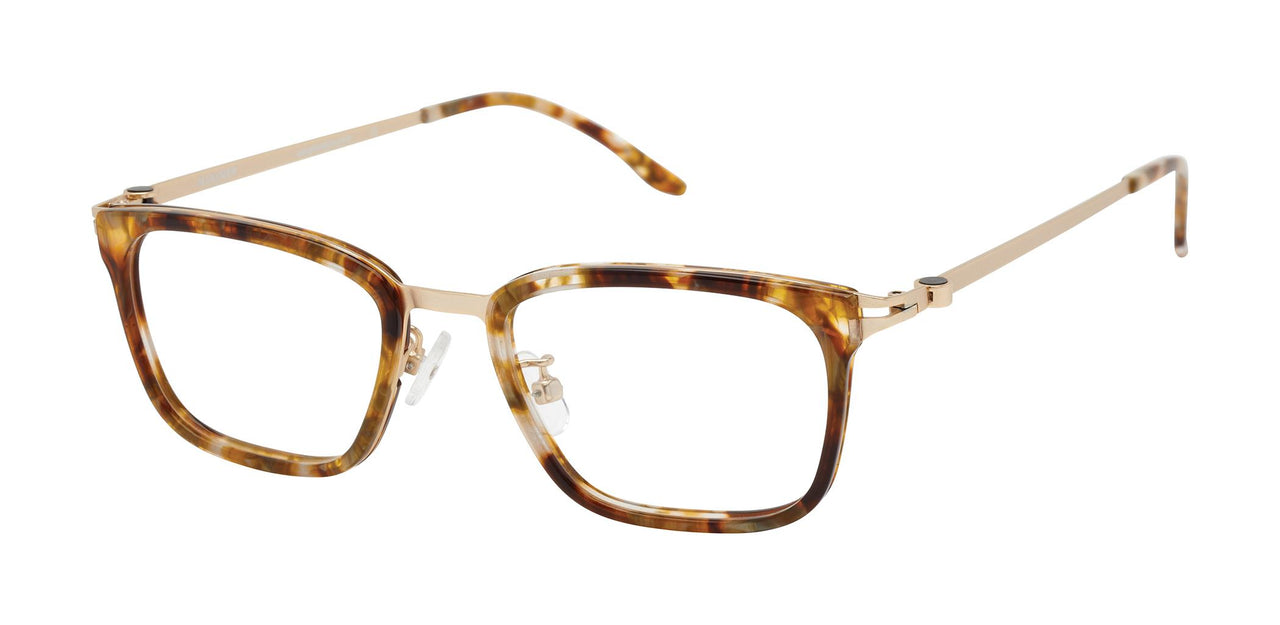 Alexander HALLE Eyeglasses