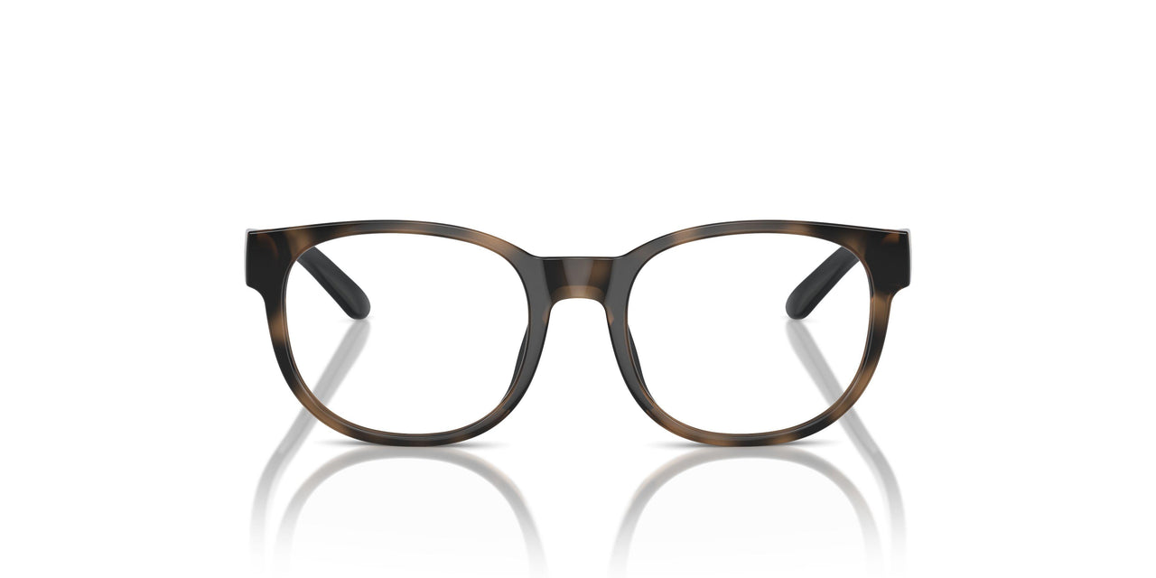 5003 - Brown