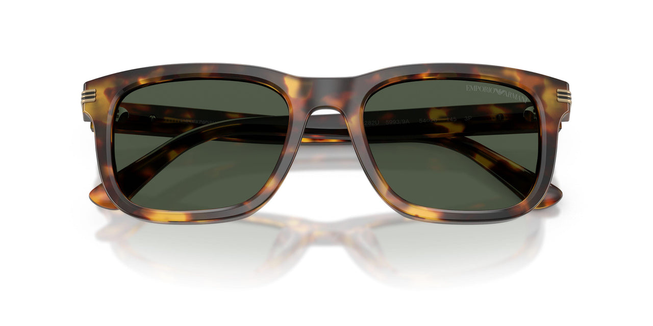 59939A - Brown - Dark Green Polarized