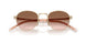 ZVN0A6 - Gold - Brown Gradient