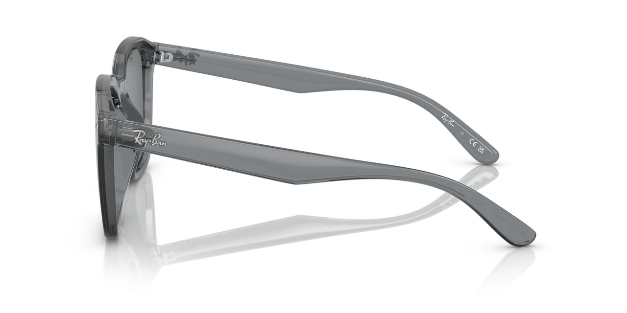 645087 - Grey - Grey