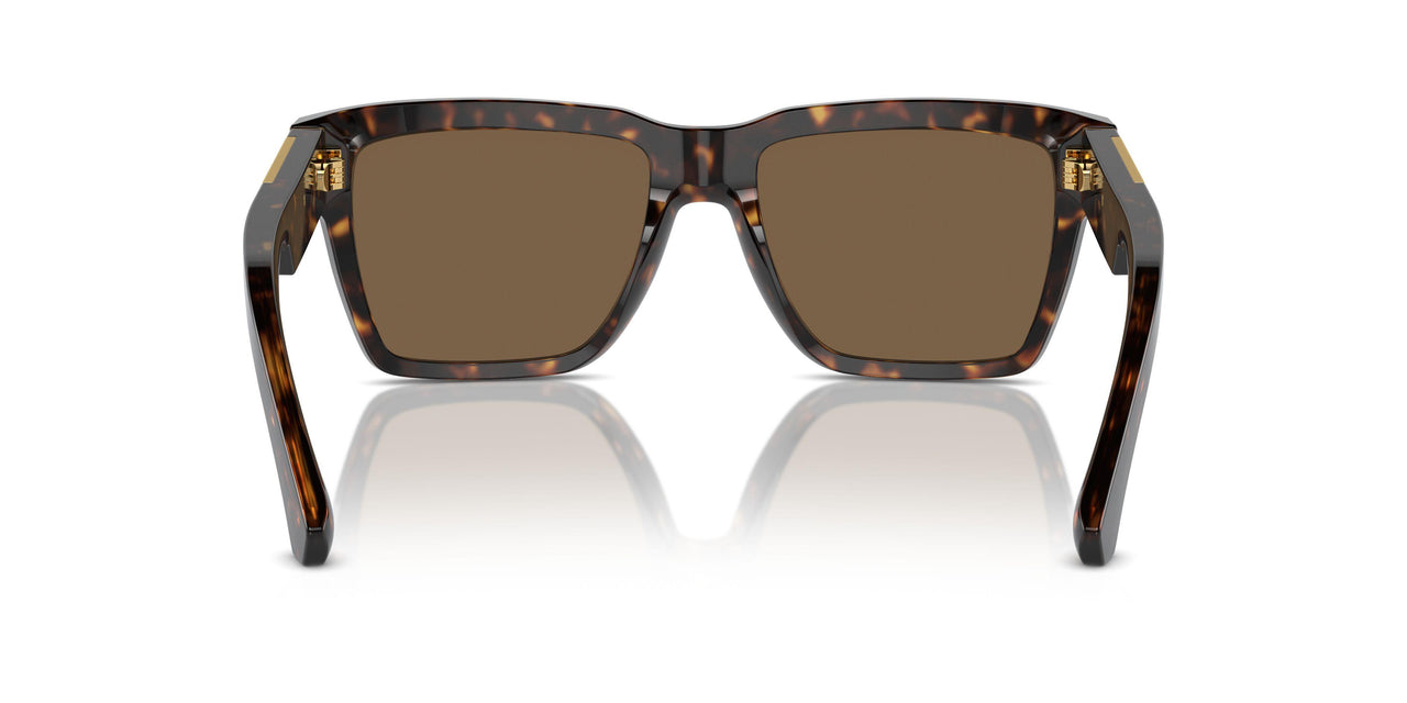502/73 - Tortoise - Dark Brown