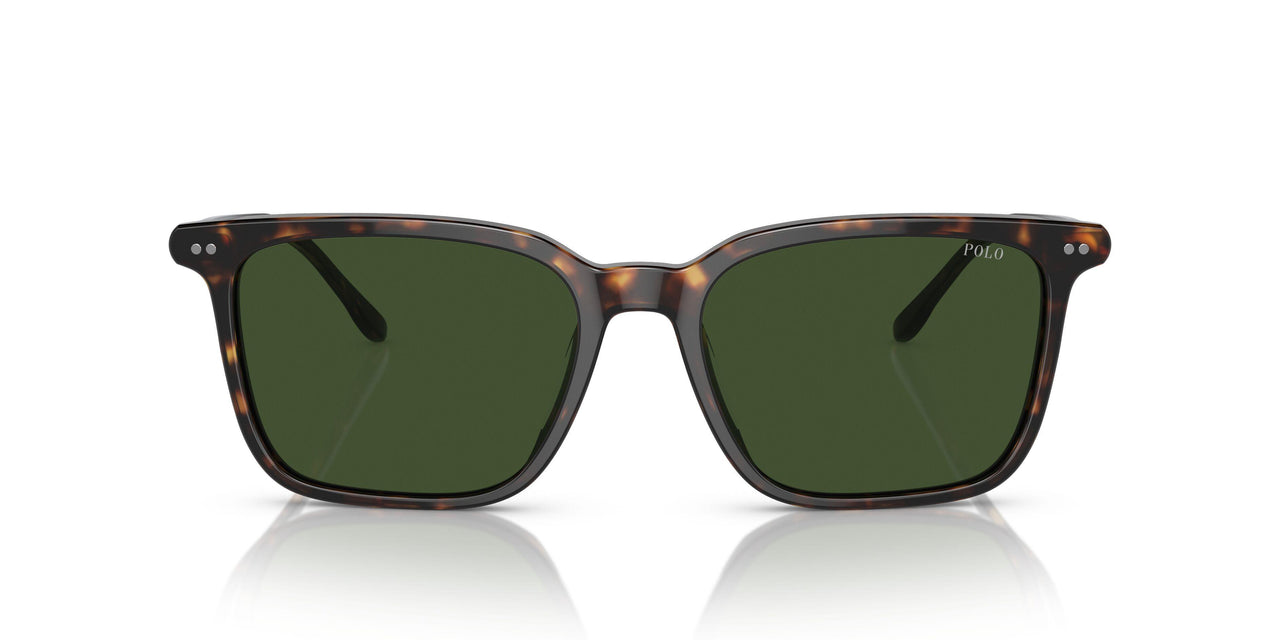 500371 - Brown - Dark Green