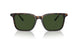 500371 - Brown - Dark Green