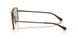 612793 - Brown - Light Brown