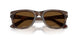 120857 - Tortoise - Polar Brown