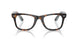 8401 - Tortoise - Clear