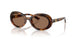 502/73 - Tortoise - Dark Brown
