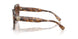 197513 - Tortoise - Brown Gradient
