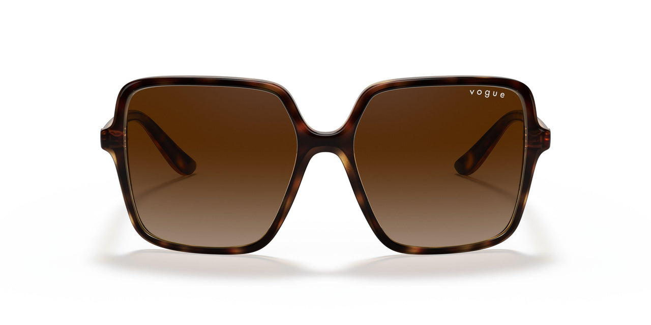 W65613 - Havana - Brown Gradient