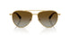 4037T5 - Gold - Gradient Brown Polar