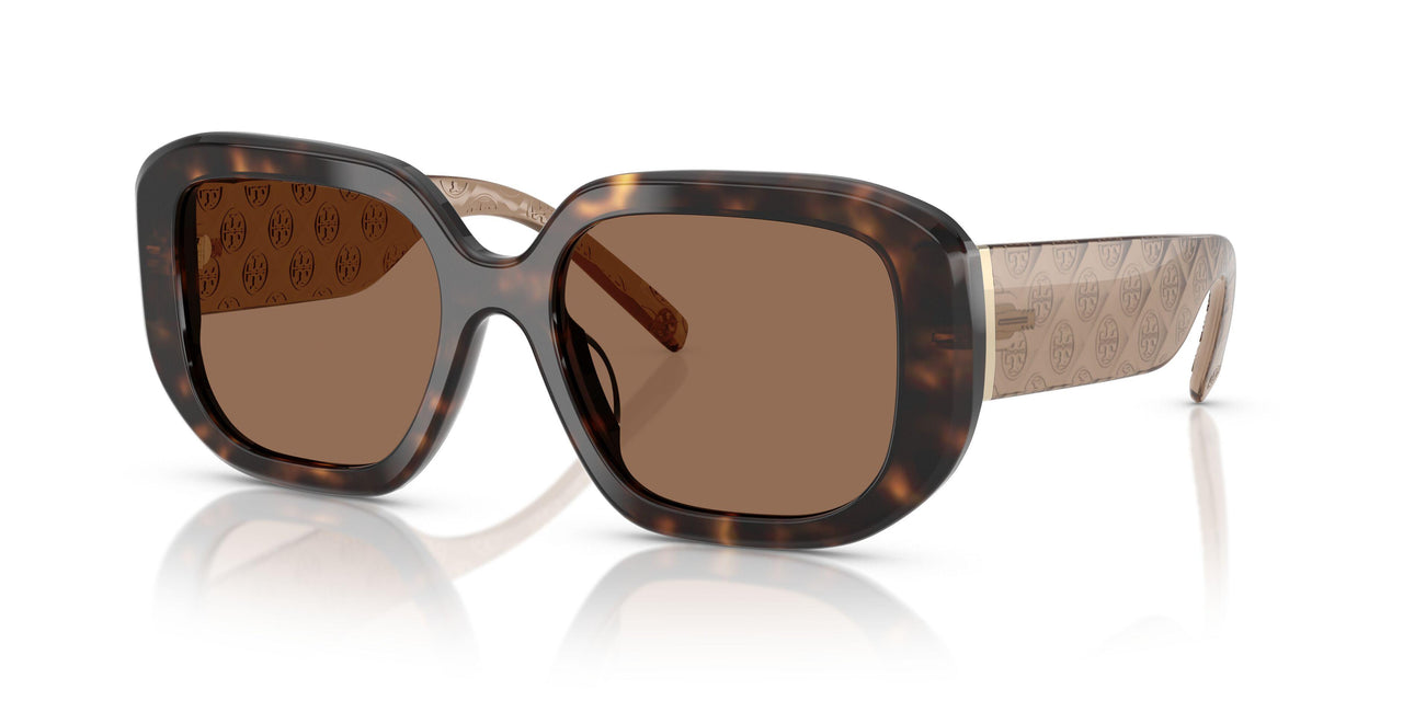 196473 - Tortoise - Brown