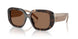 196473 - Tortoise - Brown