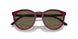5944/3 - Black - Dark Brown