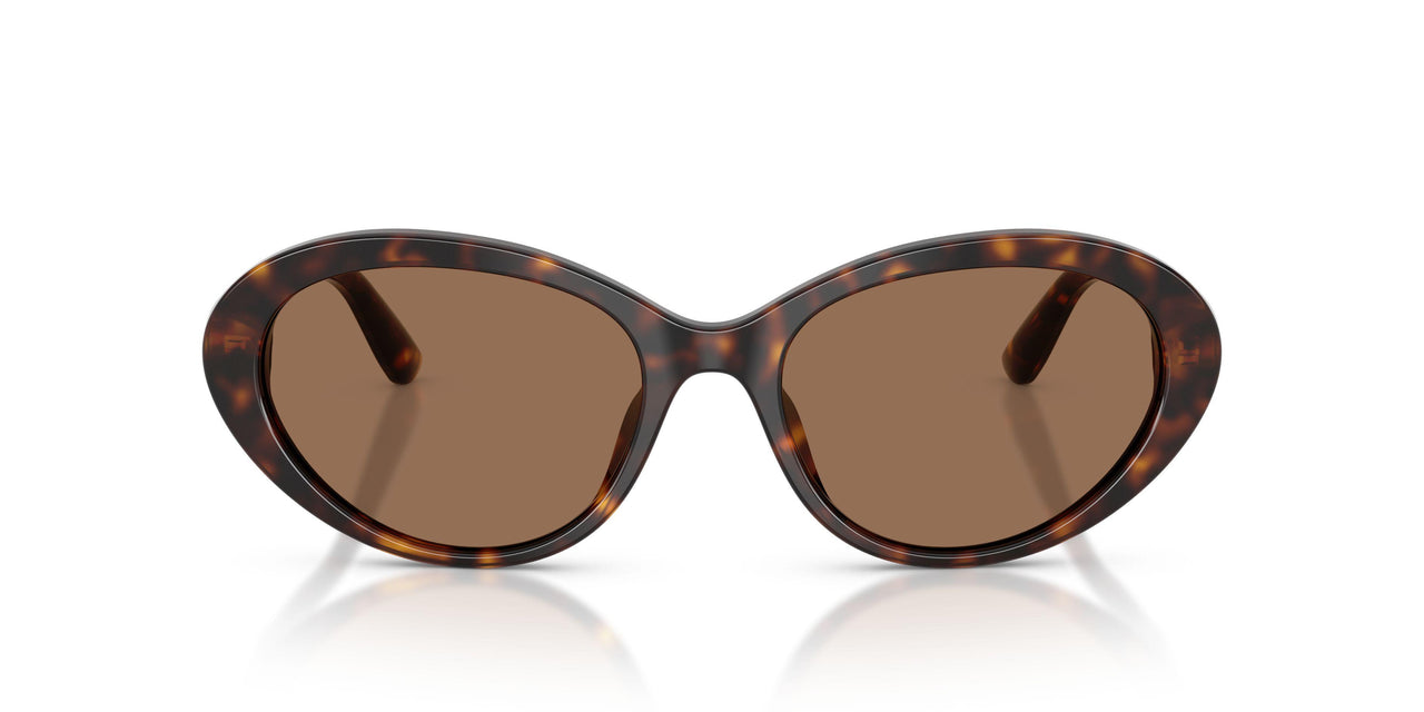 502/73 - Tortoise - Dark Brown