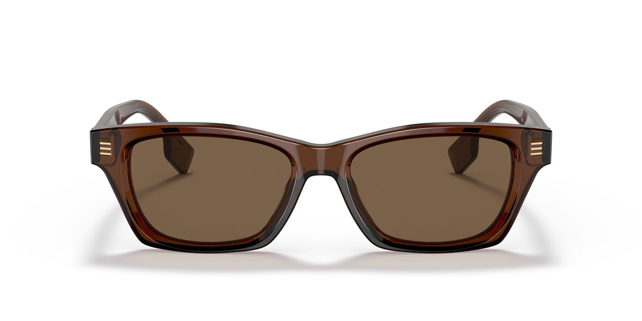 398673 - Brown - Dark Brown