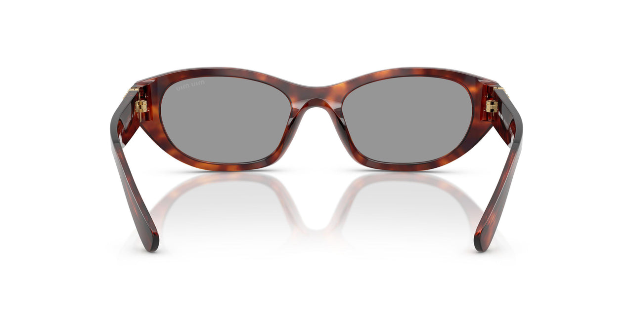 21C40O - Tortoise - Grey