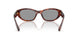 21C40O - Tortoise - Grey