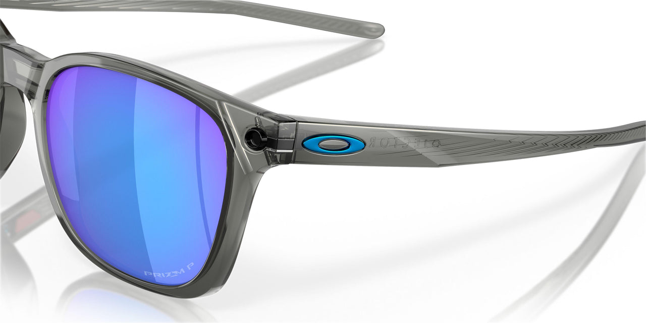 901814 - Grey - Prizm Sapphire Polarized