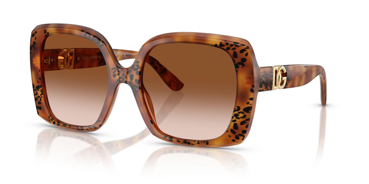 338013 - Tortoise - Brown Gradient
