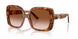 338013 - Tortoise - Brown Gradient
