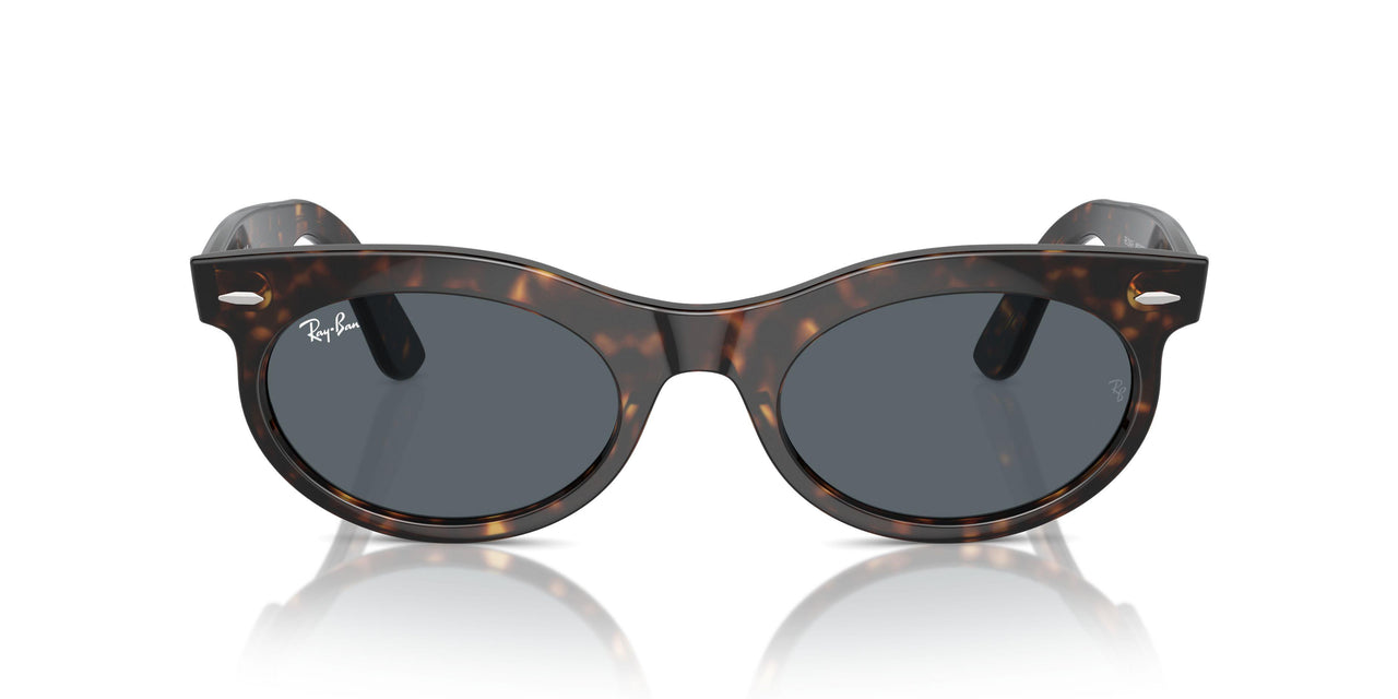 902/R5 - Tortoise - Blue