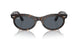 902/R5 - Tortoise - Blue