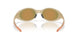 943834 - Brown - Prizm Ruby Polarized