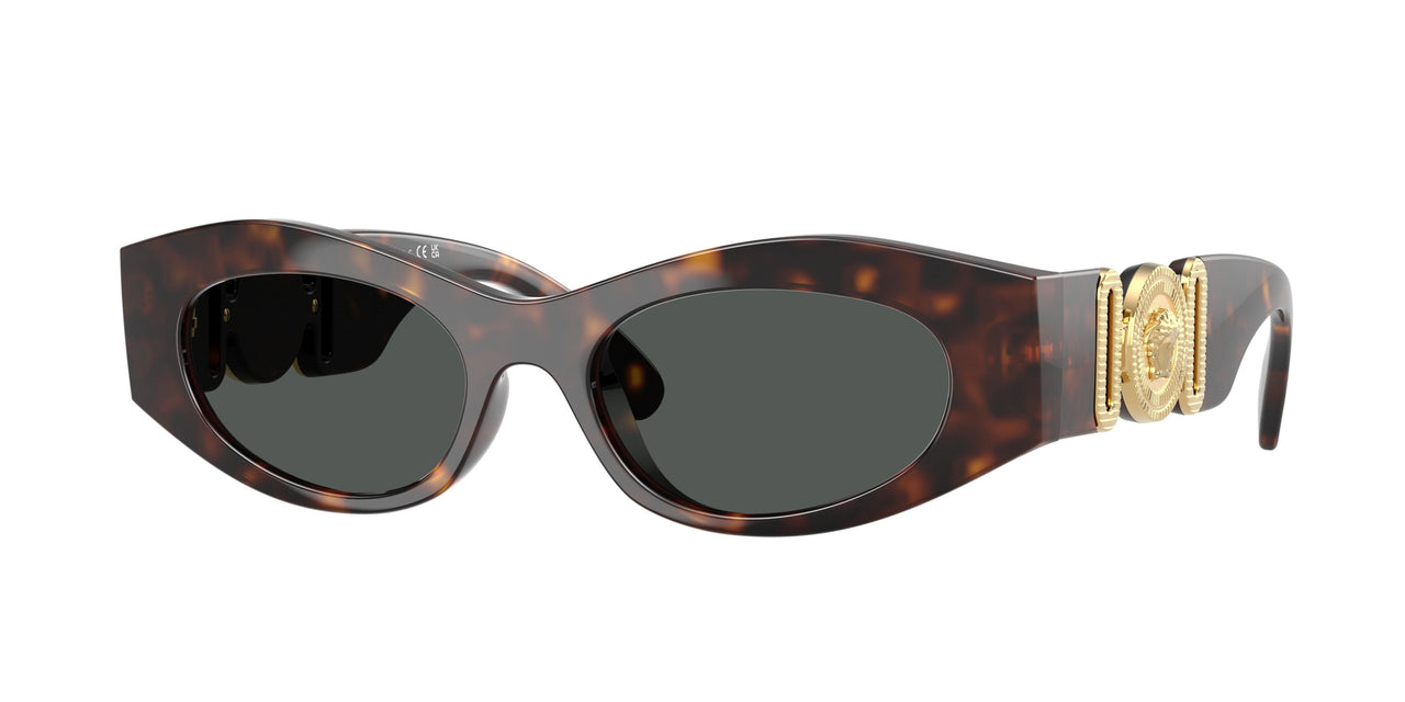 Versace 4480U Sunglasses