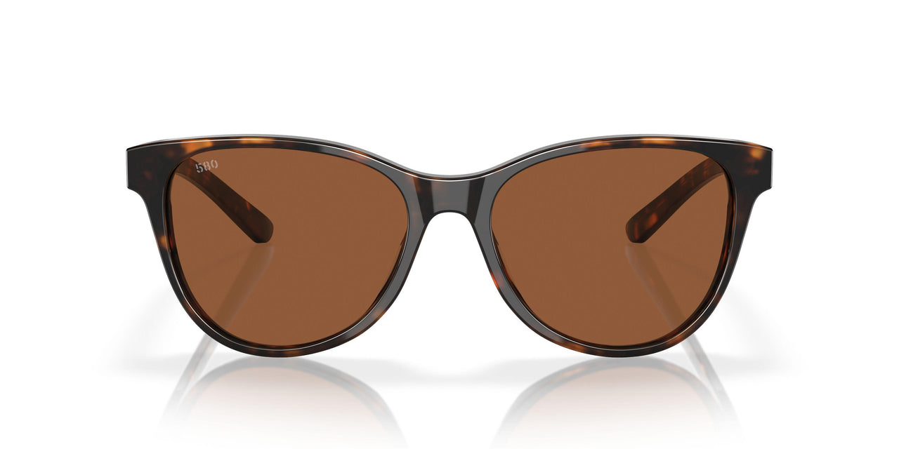 201201 - Tortoise - Copper