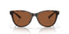 201201 - Tortoise - Copper