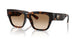 Burberry 4506U Sunglasses