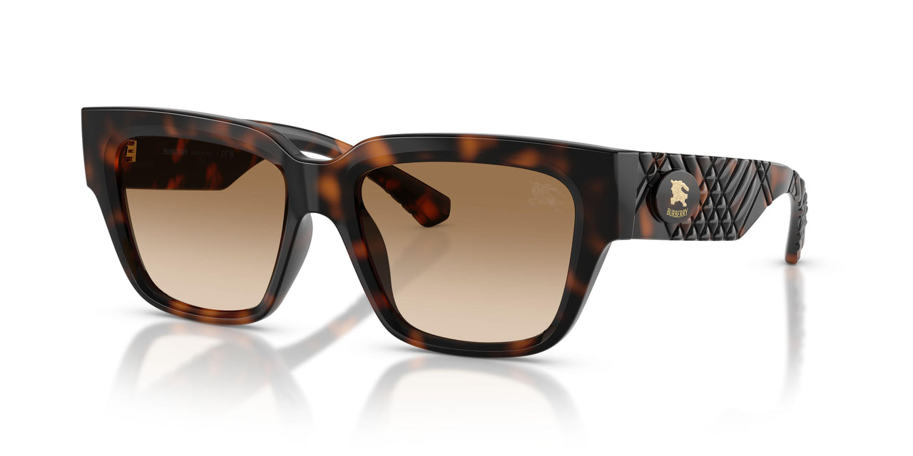 300289 - Brown - Brown Gradient