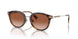300213 - Brown - Brown Gradient