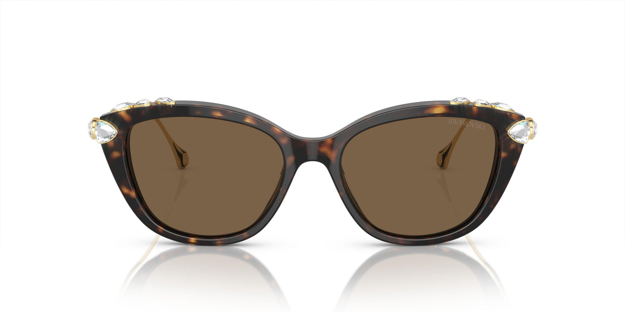 100273 - Tortoise - Dark Brown