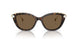 100273 - Tortoise - Dark Brown