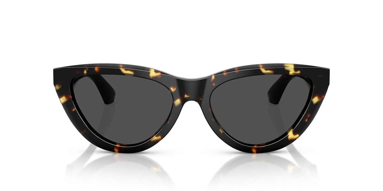 410687 - Tortoise - Dark Grey