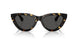 410687 - Tortoise - Dark Grey