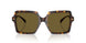 108/73 - Tortoise - Dark Brown