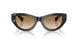 410689 - Tortoise - Brown Gradient